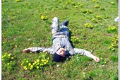 донской берег 2009_00041